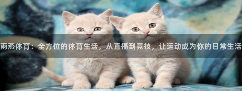 雨燕体育：全方位的体育生活，从直播到竞技，让运动成为你的日常生活